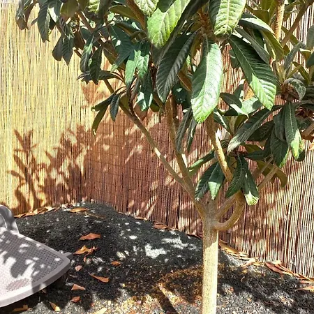 Holiday home Acogedora Casa Con Jardin Y Barbacoa
