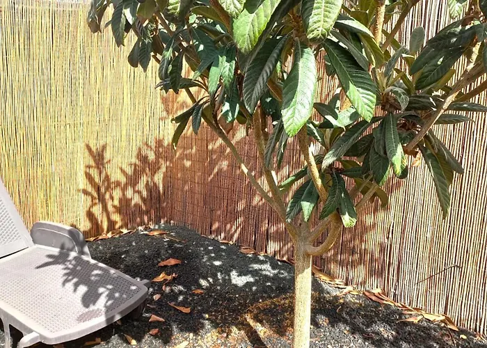 Дом отдыха Acogedora Casa Con Jardin Y Barbacoa